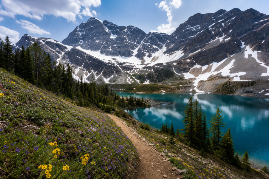 Banff in May spring meadows and snowy peaks