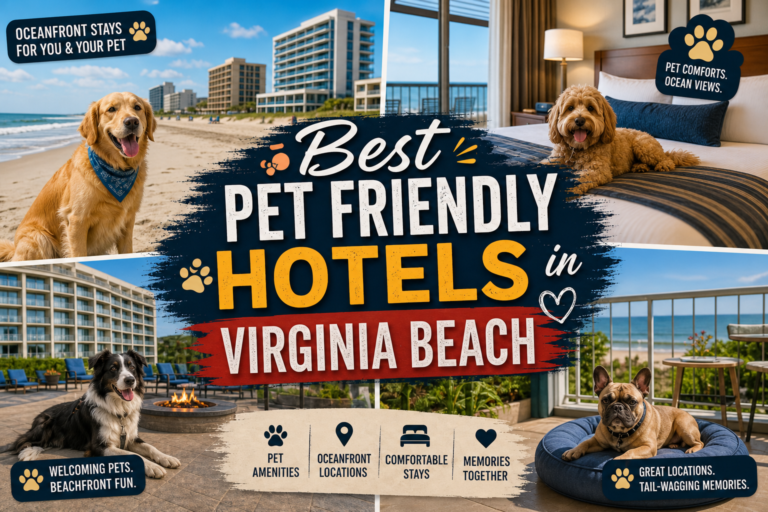 The 14 Best Pet Friendly Hotels Virginia Beach Has to Offer in 2026 7 Pet friendly hotels Virginia Beach collage