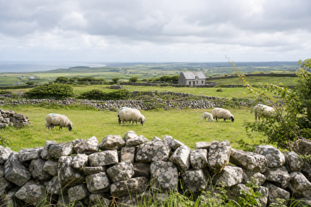 Peaceful Irish countryside slower pace