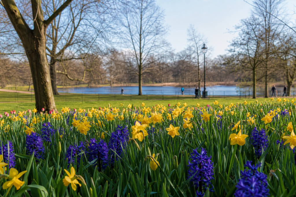 The Ultimate Guide to the Best Time to Visit London in 2026 5 London early spring blooms