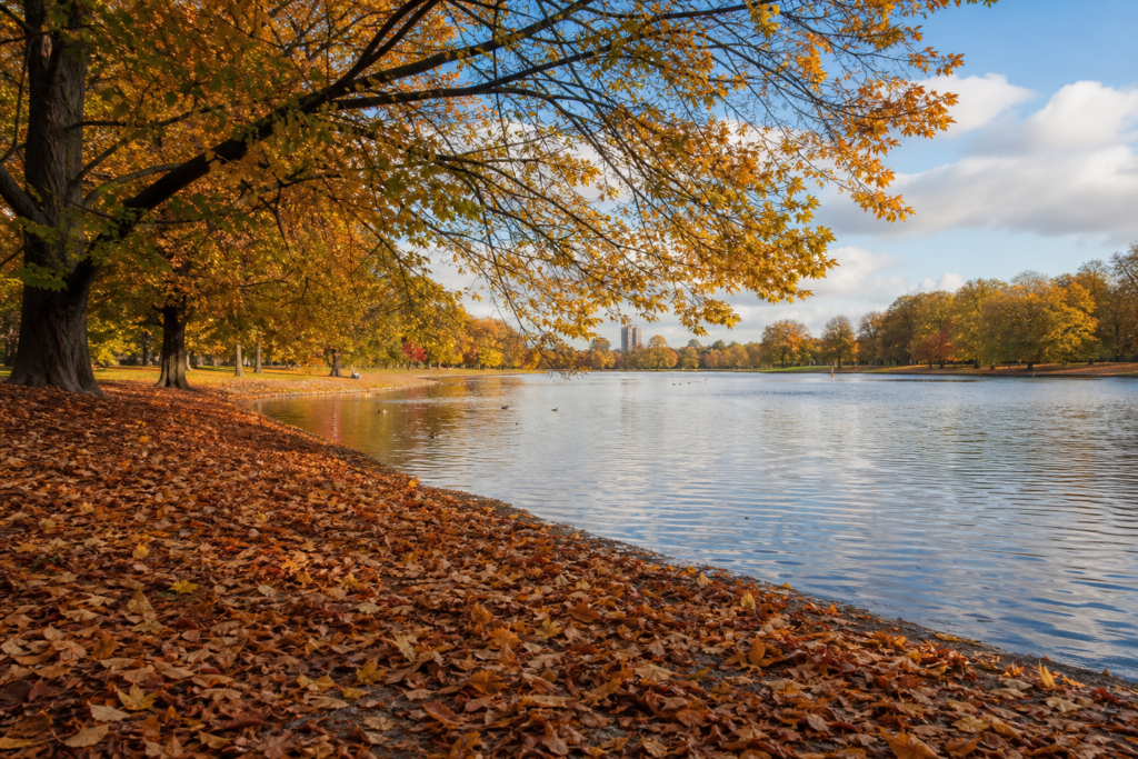 The Ultimate Guide to the Best Time to Visit London in 2026 17 October London autumn colors parks