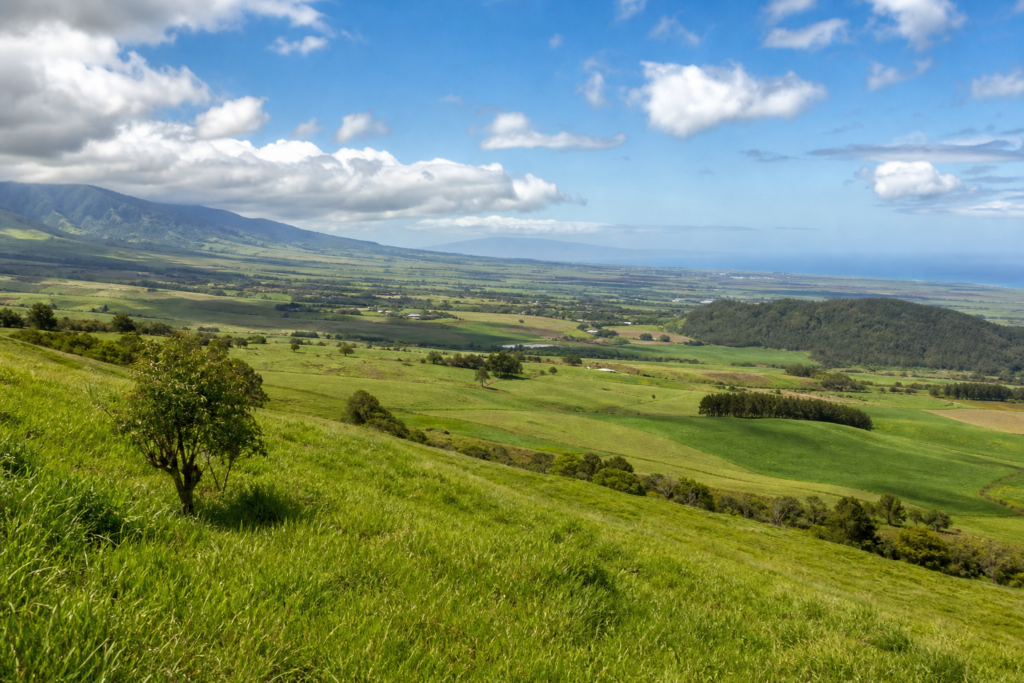 Upcountry Maui farm views
