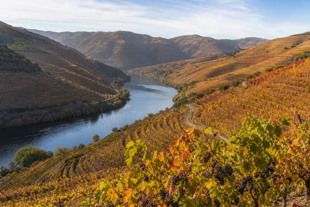 Douro Valley terraced vineyards Portugal