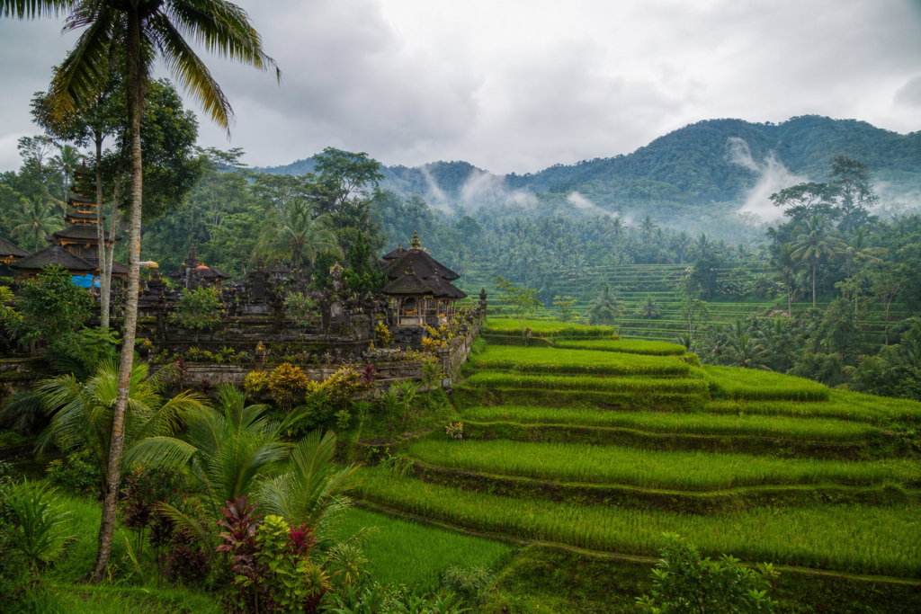 Bali rice terraces tropical temple